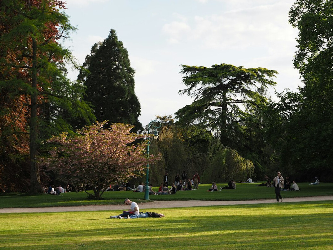 person reading book in park